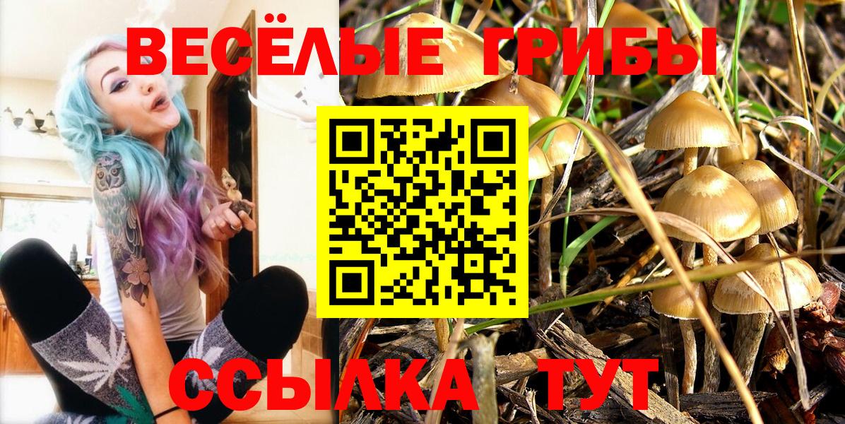 Острогожск  Псилоцибиновые грибы Psilocybine cubensis  Галлюциногенные грибы Magic Shrooms  Вход с VPN 