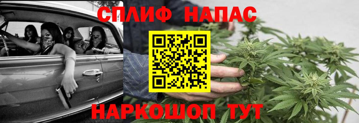 ГАШ Острогожск